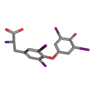 3D Structure of Levothyroxine Sodium (T4)