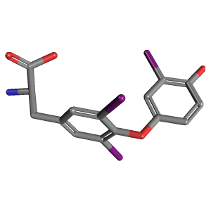 3D Structure of Triiodothyronine